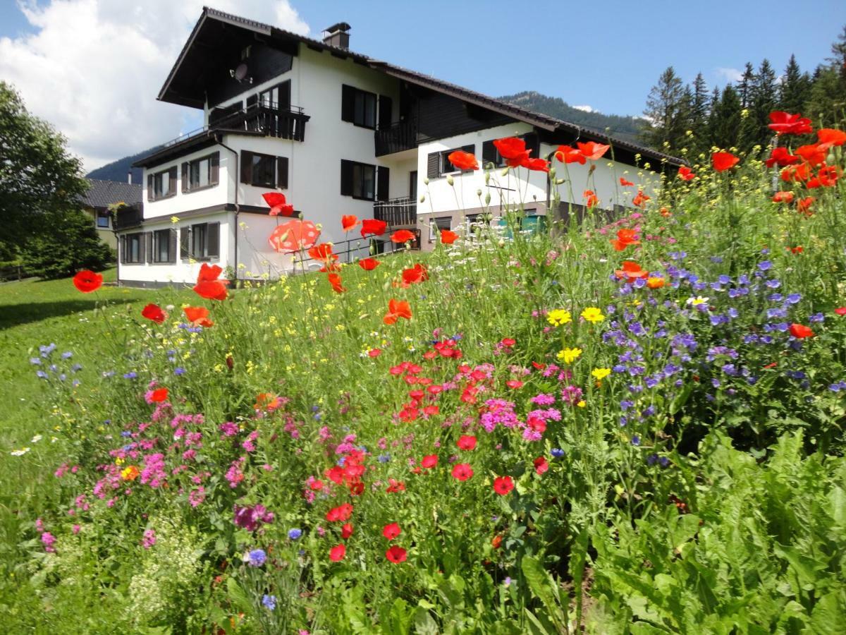 Ferienwohnung Fuchs 巴德米滕多夫 外观 照片